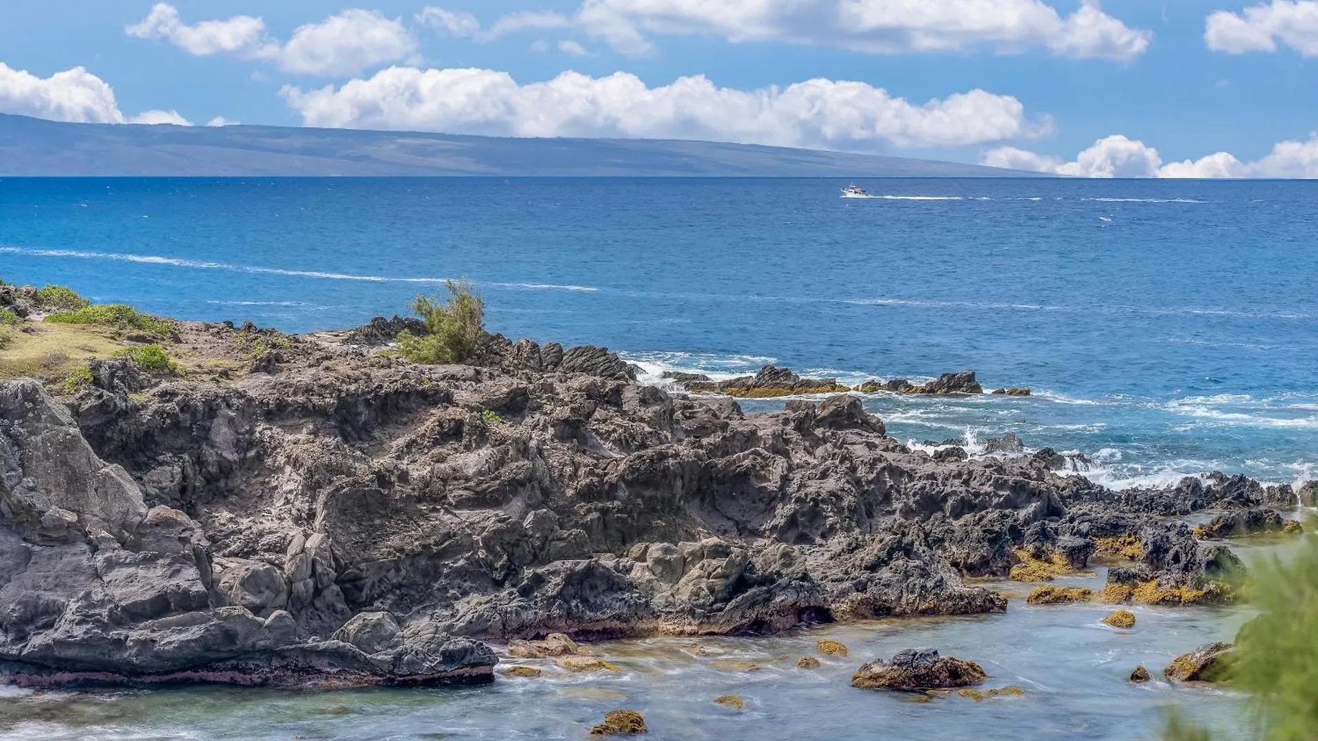 別荘 Kapalua Bay Villas 36G5 カハナ