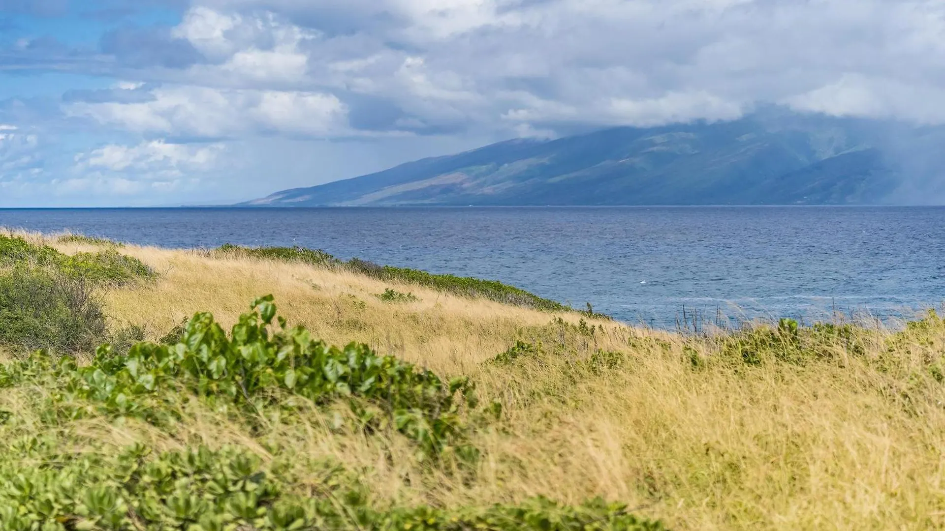 別荘 Kapalua Bay Villas 36G5 カハナ